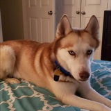 Entry image for Aspen