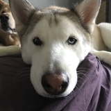 Entry image for Kaiser Hall