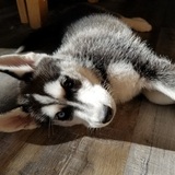 Entry image for Mikah