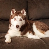 Entry image for Tatiana 