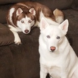 Entry image for Tatiana and Aspen 