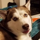 Entry image for Tatiana 