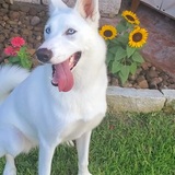 Entry image for Breeze 