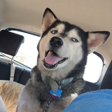 Entry image for Cherokee