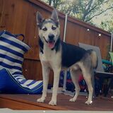 Entry image for Teller 