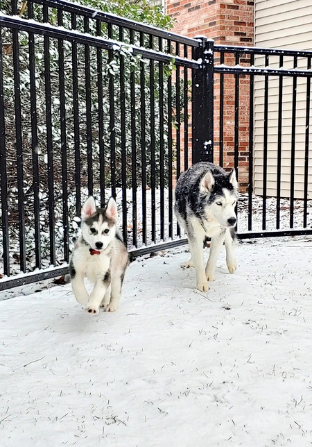 Entry image for Brady + Winter. Clicking this image will show a larger photo
