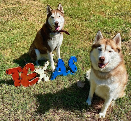 Entry image for Atlas and Farrah. Clicking this image will show a larger photo