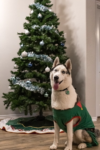 Entry image for Atka Shirey. Clicking this image will show a larger photo