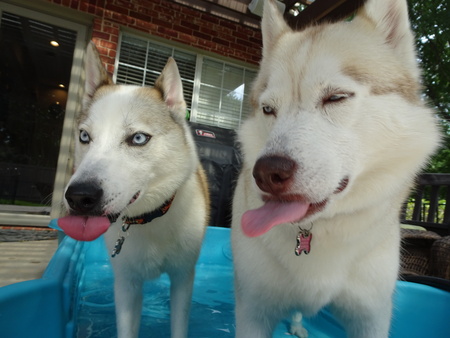 Entry image for Mako and Emmy. Clicking this image will show a larger photo