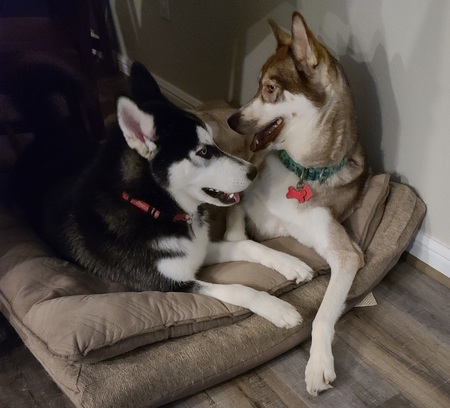 Entry image for Atlas and Mikah . Clicking this image will show a larger photo