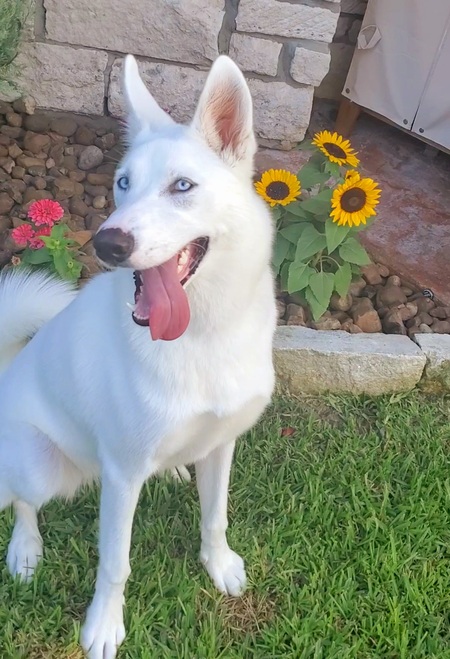Entry image for Breeze . Clicking this image will show a larger photo