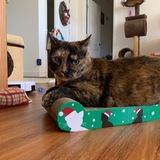 Entry image for June