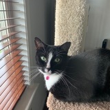 Entry image for Gracie 