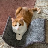 Entry image for Mickey