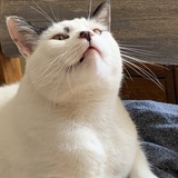 Entry image for Walter