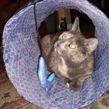 Entry image for Ruthie