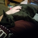 Entry image for Onyx