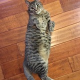 Entry image for Keke