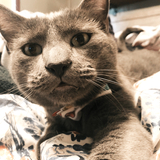 Entry image for Edgar