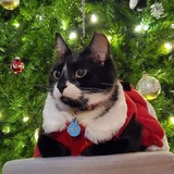 Entry image for Smudge