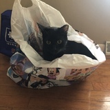 Entry image for Spook