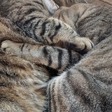 Entry image for Lucy Lou and Bobby