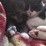 Entry image for Punkin & Annie