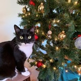 Entry image for Nadia 