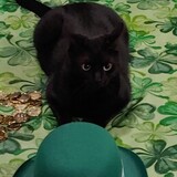 Entry image for Lucky