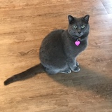 Entry image for Gwyneth 