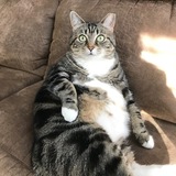 Entry image for Ellie