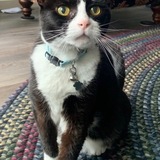 Entry image for Lizzy 