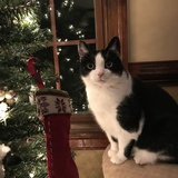 Entry image for Ellie Mae 