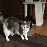 Entry image for Gabby