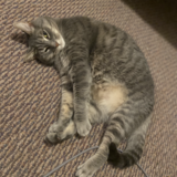 Entry image for Letty