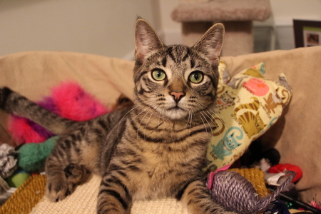 Entry image for Pauly. Clicking this image will show a larger photo