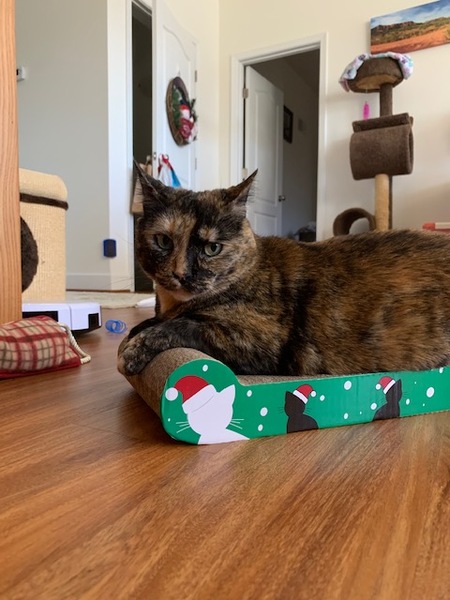 Entry image for June. Clicking this image will show a larger photo