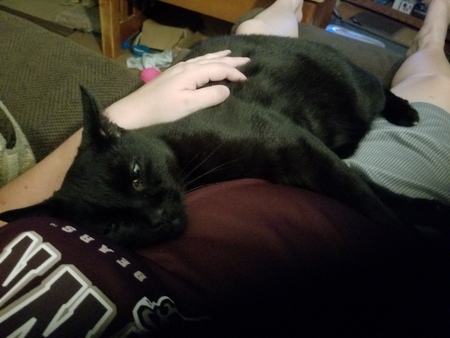 Entry image for Onyx. Clicking this image will show a larger photo