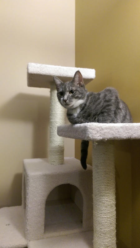 Entry image for Jafar. Clicking this image will show a larger photo