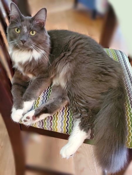 Entry image for Fred. Clicking this image will show a larger photo