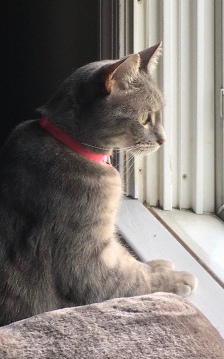 Entry image for Mia . Clicking this image will show a larger photo