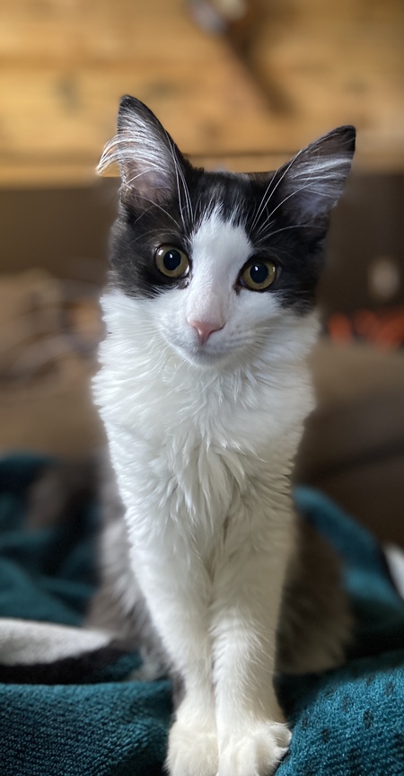 Entry image for Tia. Clicking this image will show a larger photo