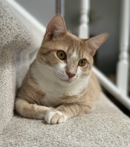 Entry image for Melman. Clicking this image will show a larger photo