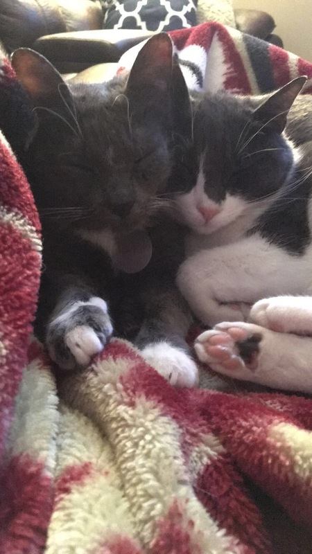 Entry image for Punkin & Annie. Clicking this image will show a larger photo