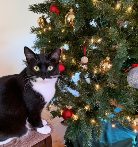 Entry image for Nadia . Clicking this image will show a larger photo