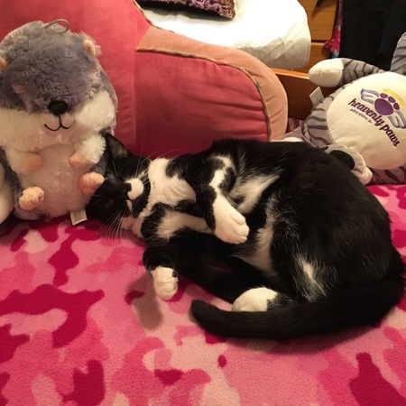 Entry image for Bonnie. Clicking this image will show a larger photo