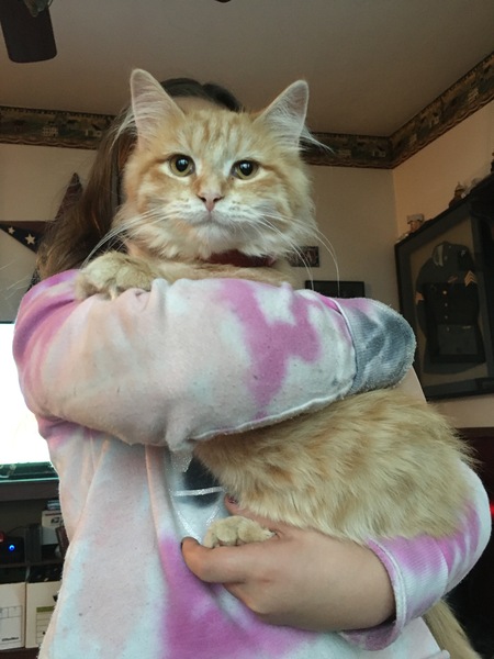 Entry image for Tony/Riff Raff. Clicking this image will show a larger photo