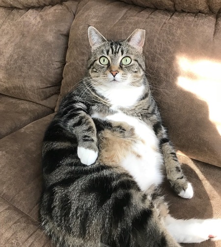 Entry image for Ellie. Clicking this image will show a larger photo