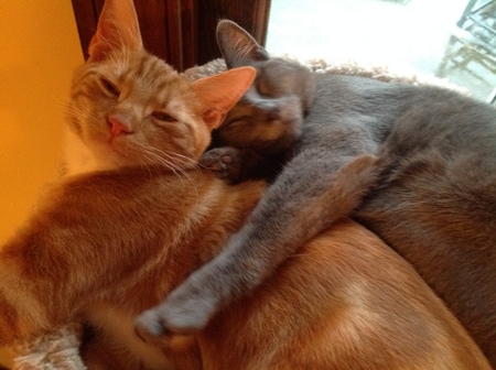 Entry image for Graycie and Jaxon. Clicking this image will show a larger photo