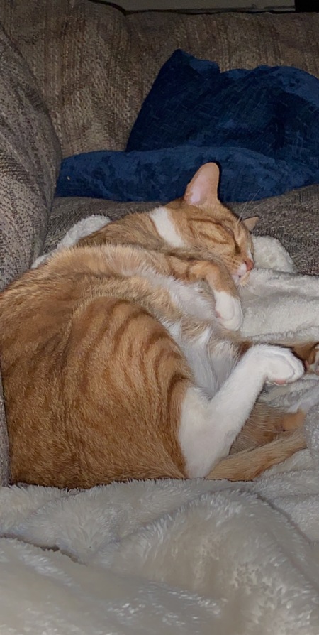 Entry image for Rito . Clicking this image will show a larger photo